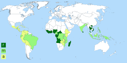 arabica/robusta